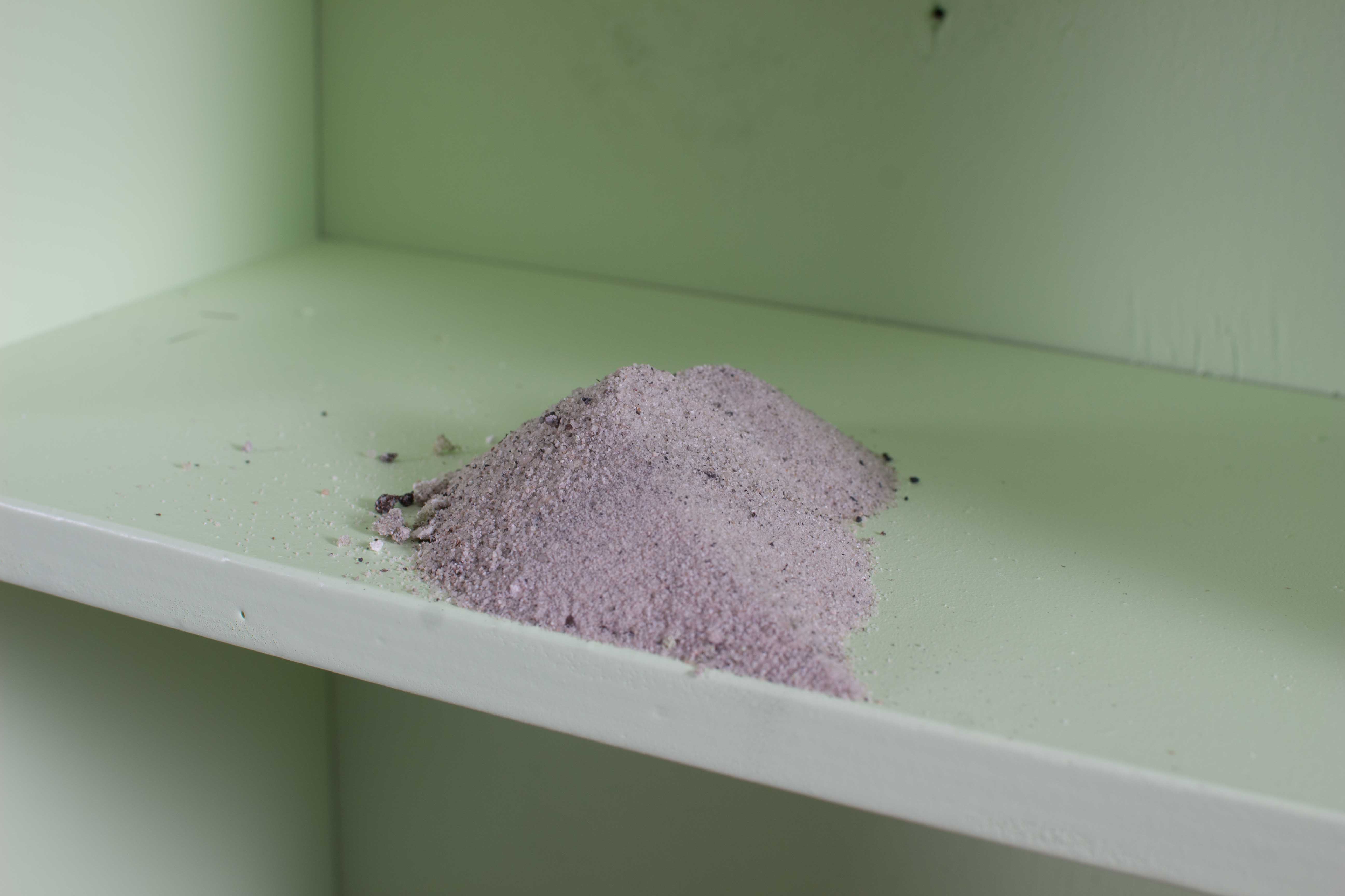 zsofia kollar, human material loop