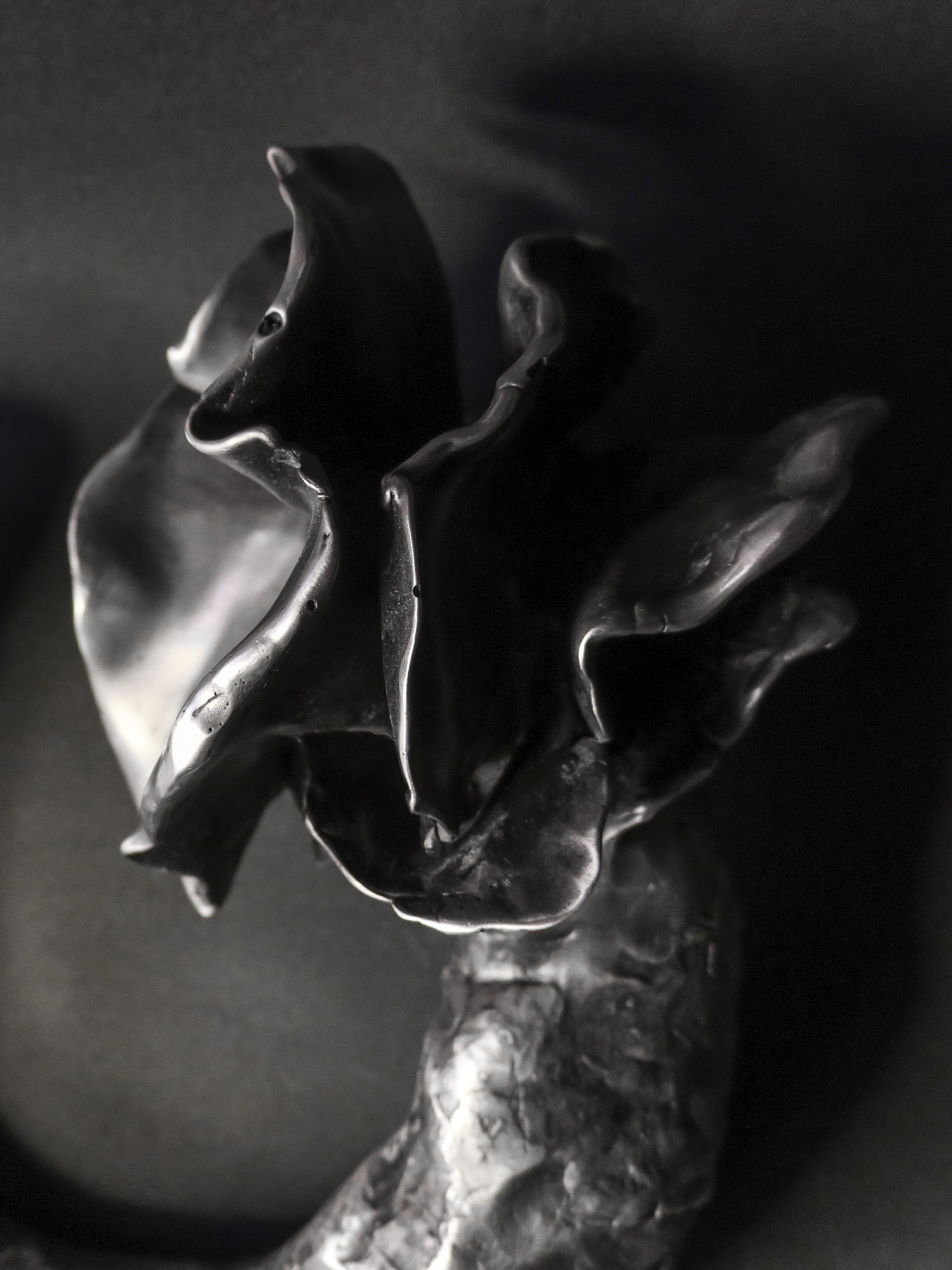 zsofia kollar, human material loop