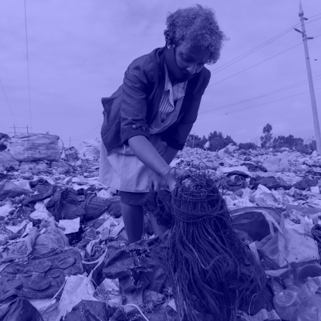 zsofia kollar, human material loop