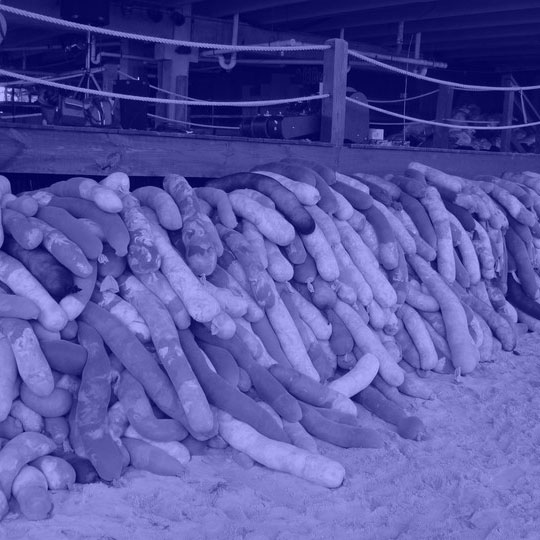 zsofia kollar, human material loop