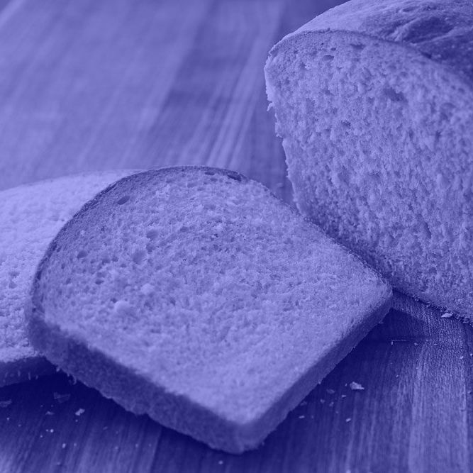 zsofia kollar, human material loop