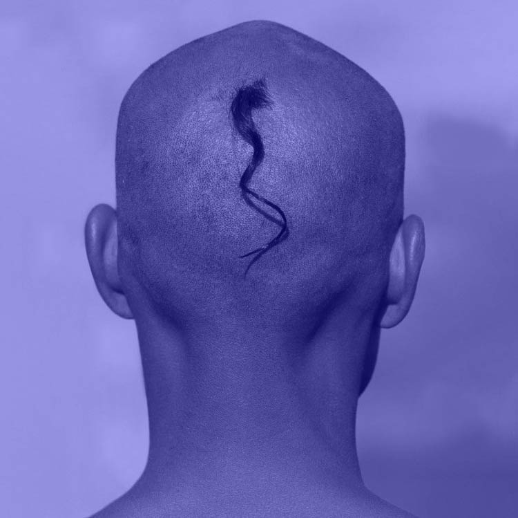 zsofia kollar, human material loop