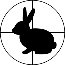 zsofia kollar, human material loop