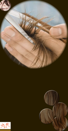 zsofia kollar, human material loop