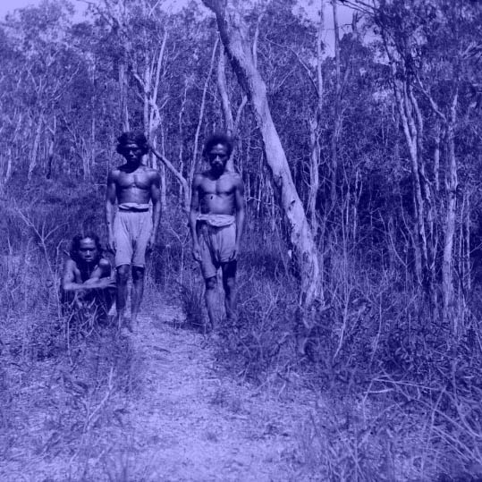 zsofia kollar, human material loop